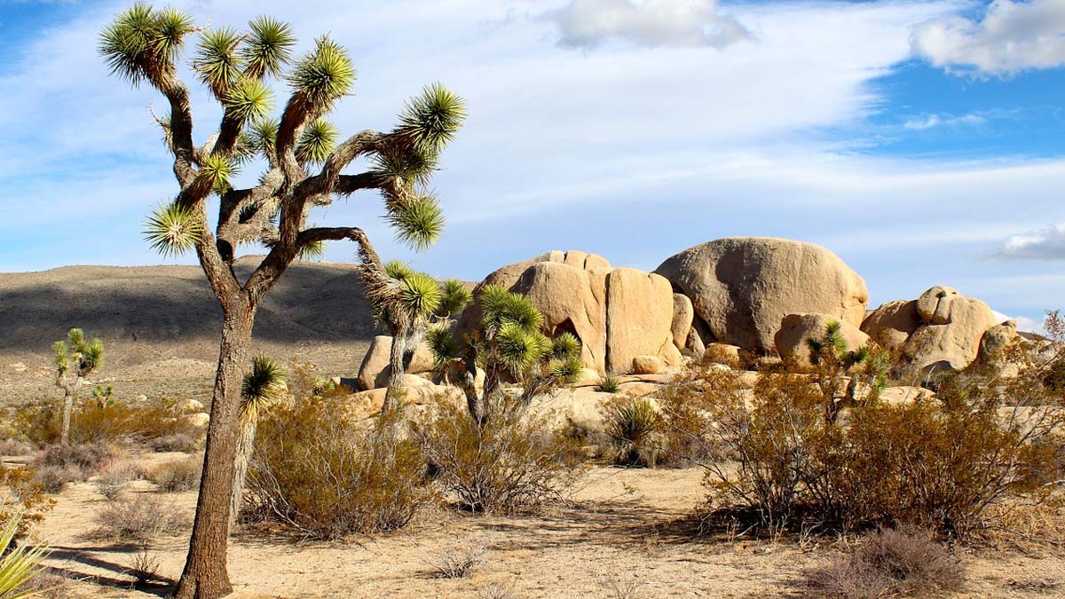 best desert backpacking trips