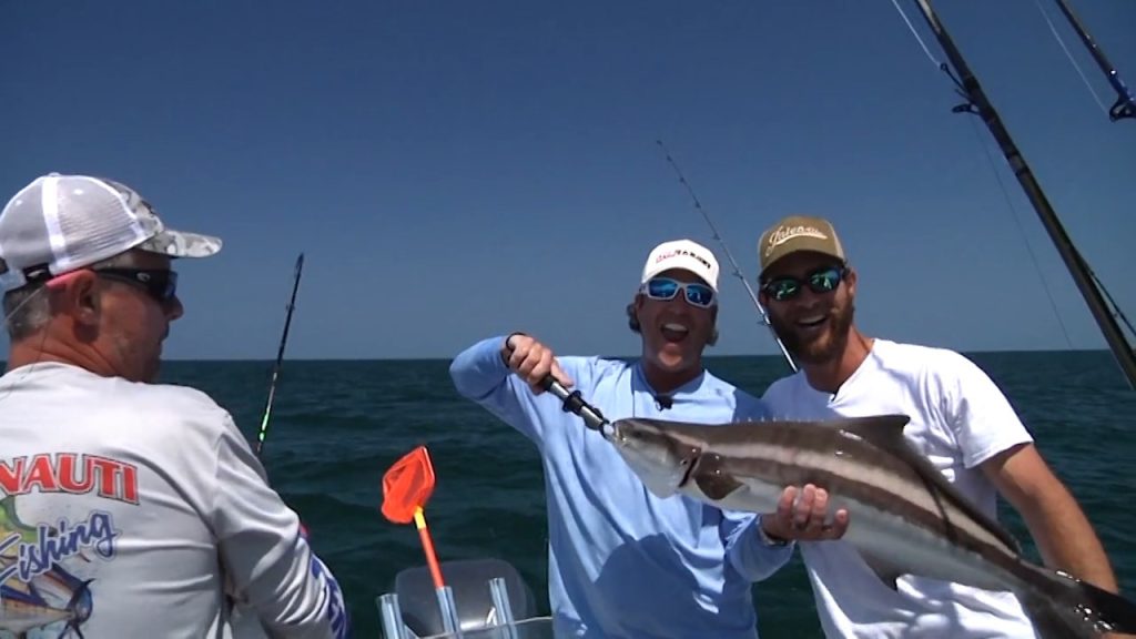 The Florida Cobia: How To Catch Cobia In Florida